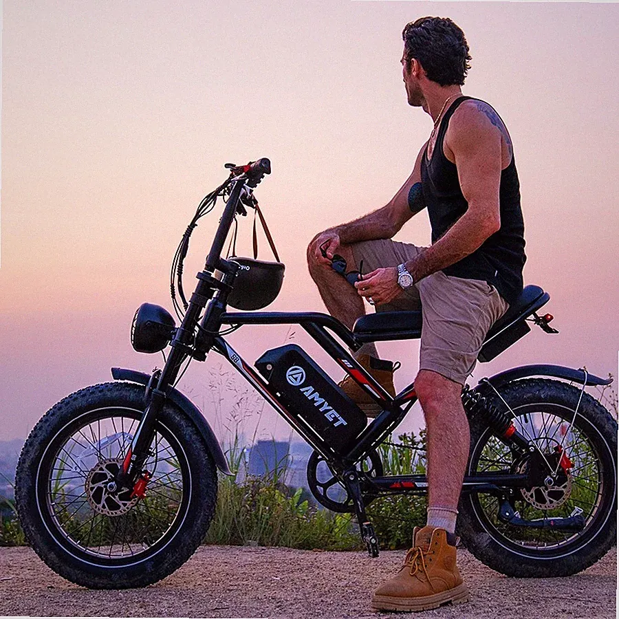 8 Speeds Electric Bike